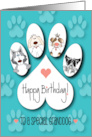 Hand Lettered Birthday for Granddog Pawprint with Canine Cuddlers card