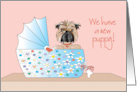New Puppy Announcement with Brussels Griffon in Blue Bassinet card