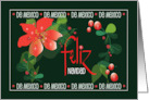 Feliz Navidad Carta Espaol de Mexico con Flora de Pascua Roja card