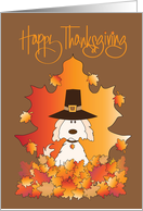 Thanksgiving from Pet Dog with Pilgrim Hat and Colorful Fall Leaves card