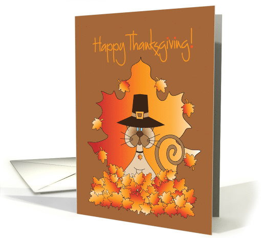 Thanksgiving from Pet Cat with Pilgrim Hat and Fall Leaves card