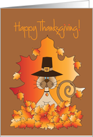 Thanksgiving from Pet Cat with Pilgrim Hat and Fall Leaves card