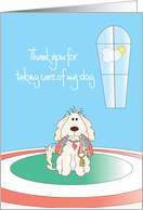 Thank you for Watching Pet Dog with Colorful Rug and Window card