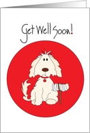 Get Well for Pet Dog with Crutch and Wrapped Paw card