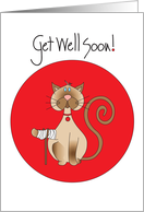 Get Well for Pet Cat...