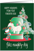 Christmas from Pet Dog Feliz Naughty-Dog in Chair with Stocking card