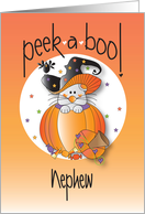Halloween Peek-a-Boo for Nephew, Mouse in Witch’s Hat card