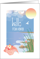 Hello from Hawaii with Conch Seashell on Sandy Beach with Sun card