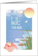 Hello from Miami with Conch Seashell on Sandy Beach in Sunlight card