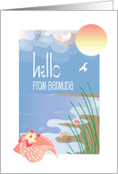 Hello from Bermuda with Conch Seashell by Sandy Beach with Sun card