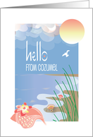 Hello from Cozumel with Conch Seashell by Sandy Beach and Sun card