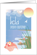 Hola desde California Hello From California Conch Seashell en Espaol card