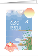 Ciao da Sicilia Hello from Sicily con Belle Conchiglie Sulla Spiaggia card