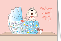 New Puppy Announcement, Puppy in Floral Bassinette card