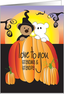 Halloween Grandma & Grandpa Love You Witch and Goblin in Pumpkin card