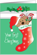 First Christmas for Great Nephew, Bear in Santa Hat in Stocking card
