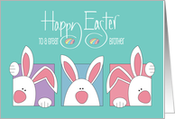 Easter for Brother with Three White Bunnies and Decorated Easter Eggs card