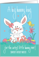 Easter for Great Niece Bunny Hug White Bunny Hugging Her Toy Bunny card