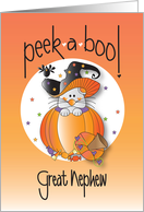 Halloween for Great Nephew Black Cat and Jack O Lantern in Witch Hat card