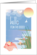 Hi from the Beach, with Seashells and Tropical Flowers card