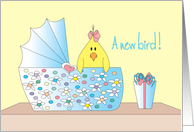 Congratulations on new Bird, Bassinette with Baby Bird card