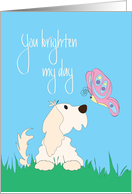 You Brighten my Day, Dog Befriending Swirling Colorful Butterfly card