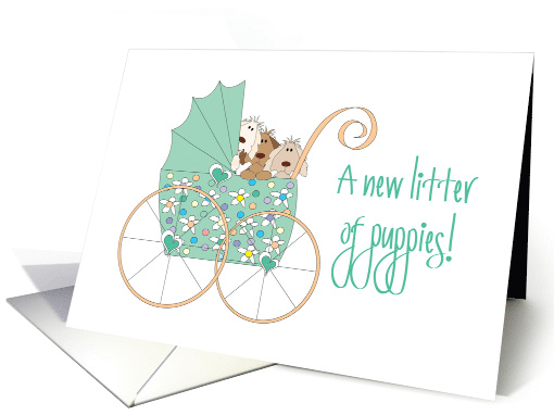 Congratulations on your new Puppy Litter, Stroller with Puppies card
