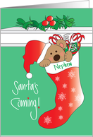 Christmas for Nephew, Santa Bear in Snowflake Covered Stocking card