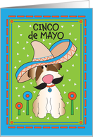 Cinco de Mayo Dog in Sombrero with Moustache and Spanish Pattern card