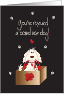 Hand Lettered Congratulations on Dog Rescue Adoption Dog with Leash card