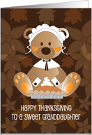 Thanksgiving for Granddaughter, Pilgrim Bear with Pumpkin Pie card