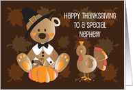 Thanksgiving for Nephew, Pilgrim Bear, Turkey and Pumpkin card