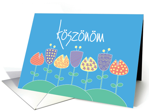 Thank you in Hungarian, Ksznm with Stylized Flowers on Blue card