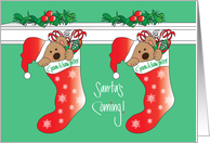Christmas Twin Granddaughters, Santa’s Coming Bear Stockings card