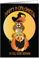 Halloween for Great Nephew H-owl-oween Owl in Witch Hat on Pumpkin card