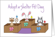 Adopt a Shelter Pet Day with Cat, Dog, Bunny and Birds in Boxes card