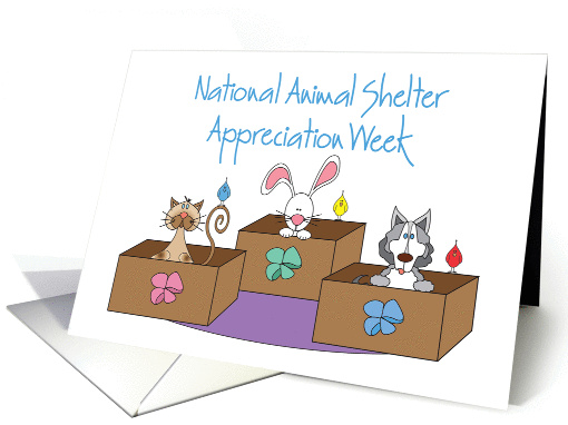 National Animal Shelter Appreciation Week, Animals in Boxes card