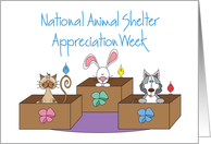 National Animal Shelter Appreciation Week, Animals in Boxes card
