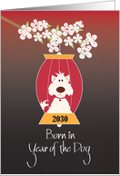Chinese Year of the Dog Birthday for 2030 Fluffy Dog in Red Lantern card
