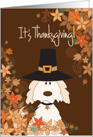 Thanksgiving Dog in Pilgrim Hat, Fall Leaves and Flower Border card