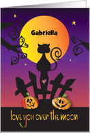 Halloween Black Cat Silhouette on Fence Full Moon and Custom Name card