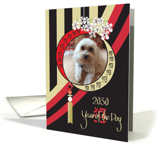Chinese New Year of the Dog, Your Custom Dog Photo with Stripes card