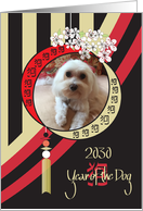 Chinese New Year of the Dog, Your Custom Dog Photo with Stripes card