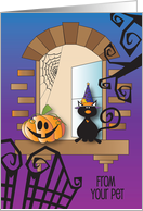 Halloween from Pet to Someone Away at College with Cat in Window card