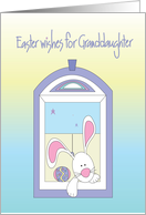 Easter for Granddaughter away at College, Bunny & Egg in Window card