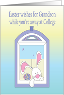 Easter for Grandson Away at College, Bunny in Window with Egg card