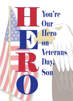 Veterans Day Hero...