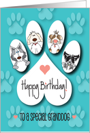 Hand Lettered Birthday for Granddog Pawprint with Canine Cuddlers card