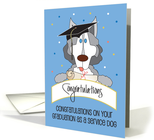 Congratulations on Graduation as a Service Dog with Hat... (1677632)