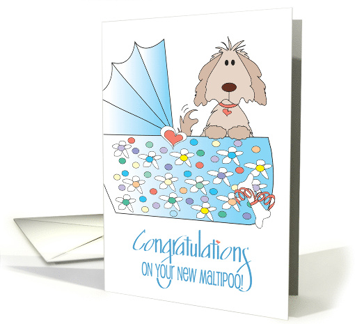 Hand Lettered Congratulations for New Pet Maltipoo Puppy... (1687766)